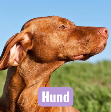 Forhandler